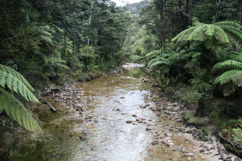 Nieuw-Zeeland 2011 - 1051